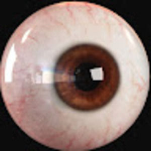 Meet your Posher, Shutup